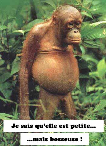 mite